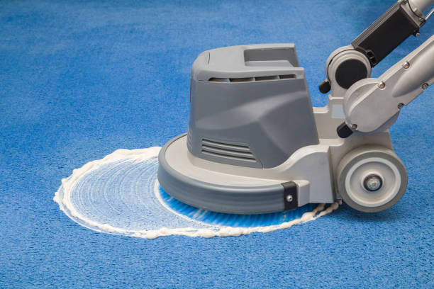 Why Professional Carpet Cleaning Services Matter Guide