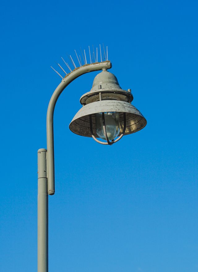Bird Spike Installation