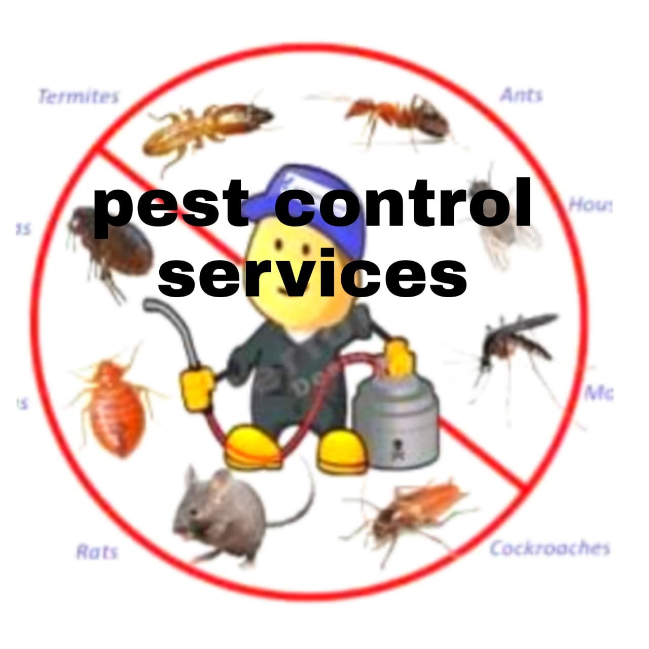 pest control service