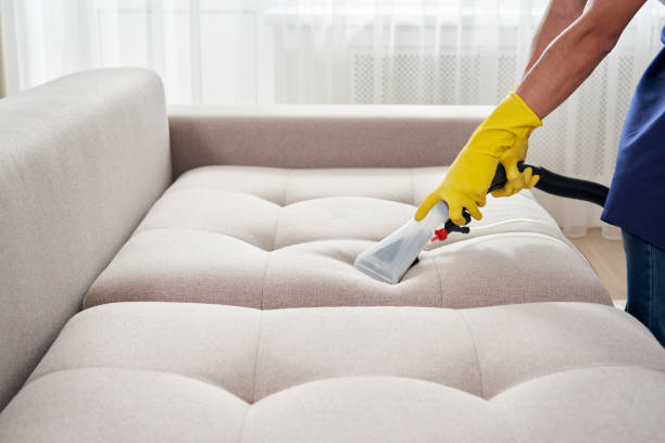 vacuuming white sofa with professional cleaner