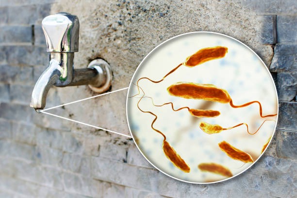 images of bacteria and germs shown from tap located in kathmandu